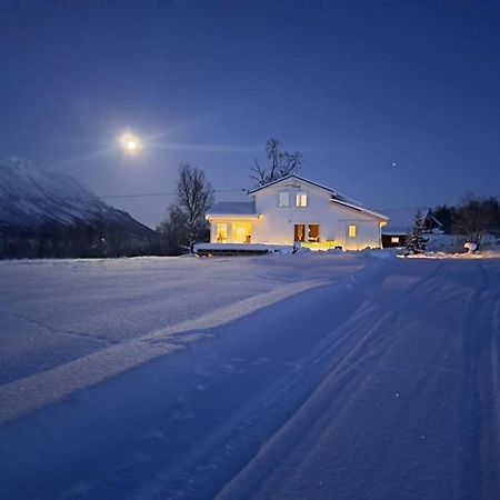 Mountainside Lodge - Breivikeidet Тромсьо Екстериор снимка