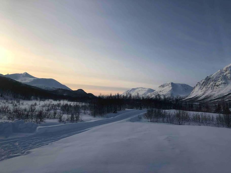 Mountainside Lodge - Breivikeidet Тромсьо Екстериор снимка