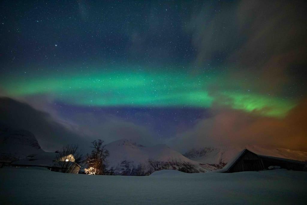 Mountainside Lodge - Breivikeidet Тромсьо Екстериор снимка