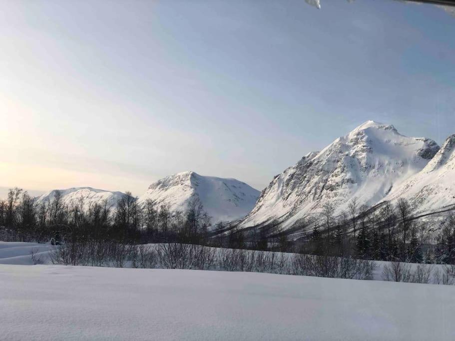 Mountainside Lodge - Breivikeidet Тромсьо Екстериор снимка