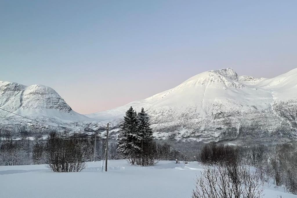 Mountainside Lodge - Breivikeidet Тромсьо Екстериор снимка