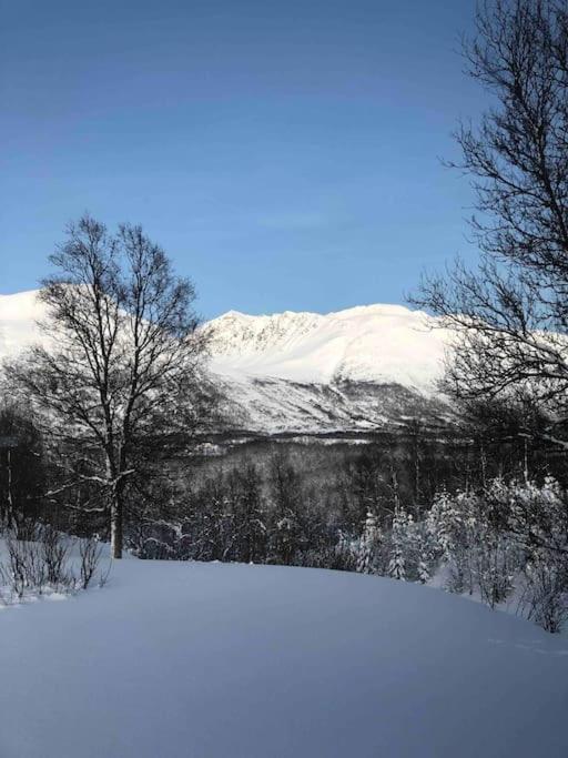 Mountainside Lodge - Breivikeidet Тромсьо Екстериор снимка