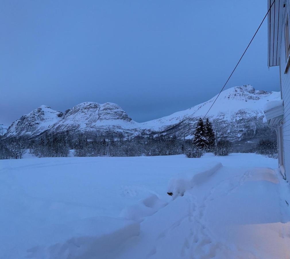 Mountainside Lodge - Breivikeidet Тромсьо Екстериор снимка
