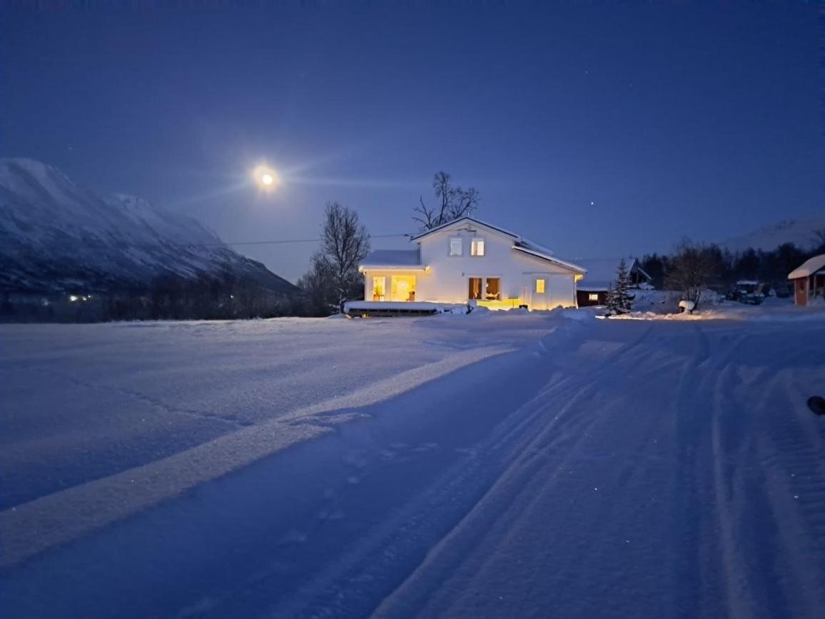 Mountainside Lodge - Breivikeidet Тромсьо Екстериор снимка